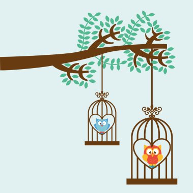 owl bird 