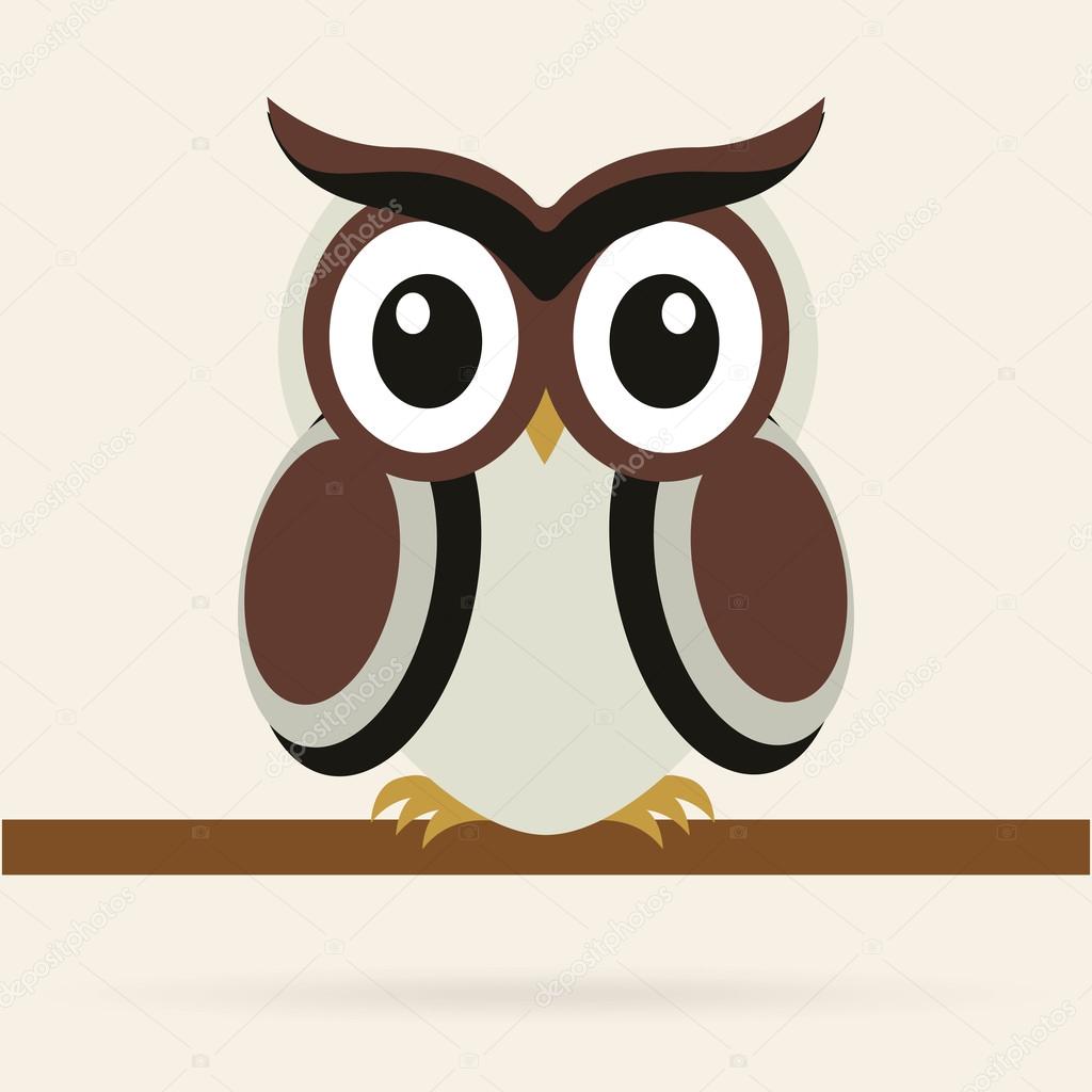 owl bird 