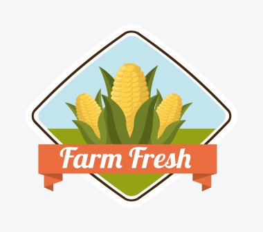 çiftlik taze tasarım