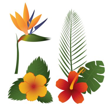 çiçek tasarım, vektör çizim.