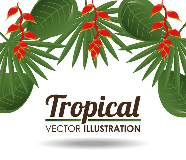 Blumen Design, Vektorillustration. — Stockvektor