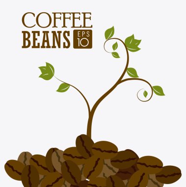 Kahve tasarım, vektör çizim.