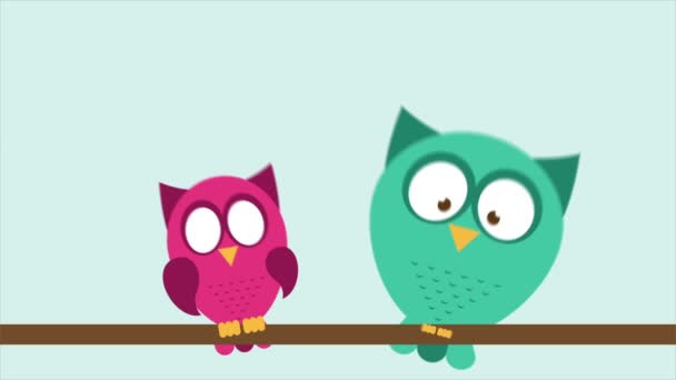 Hibou couple amoureux Vidéo Animation HD 1080 — Video