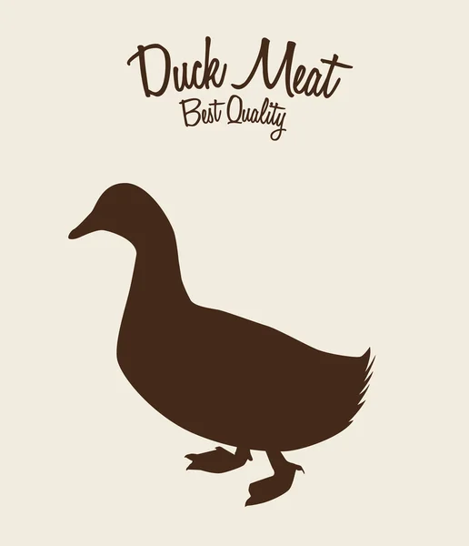 Carne de pato — Vector de stock