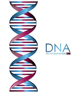 DNA tasarım, vektör çizim.