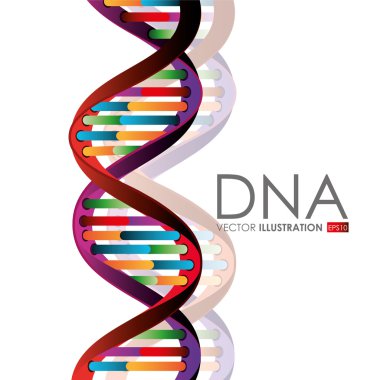 DNA tasarım, vektör çizim.