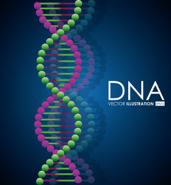 DNA tasarım, vektör çizim.