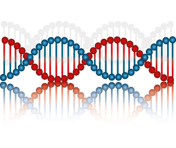 Diseño de ADN, ilustración vectorial . — Archivo Imágenes Vectoriales