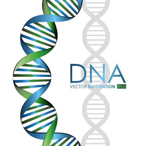 DNA-design, vektoros illusztráció. — Stock Vector