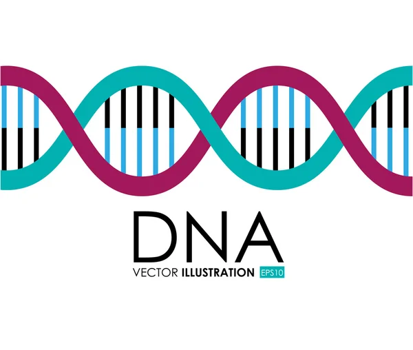 DNA-design, vektoros illusztráció. — Stock Vector