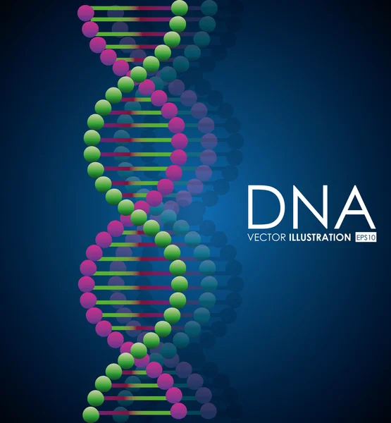 DNA design, vector illustration. — Stock Vector