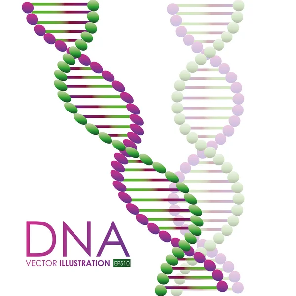 DNA-design, vektoros illusztráció. — Stock Vector