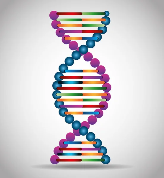 DNA-design, vektoros illusztráció. — Stock Vector