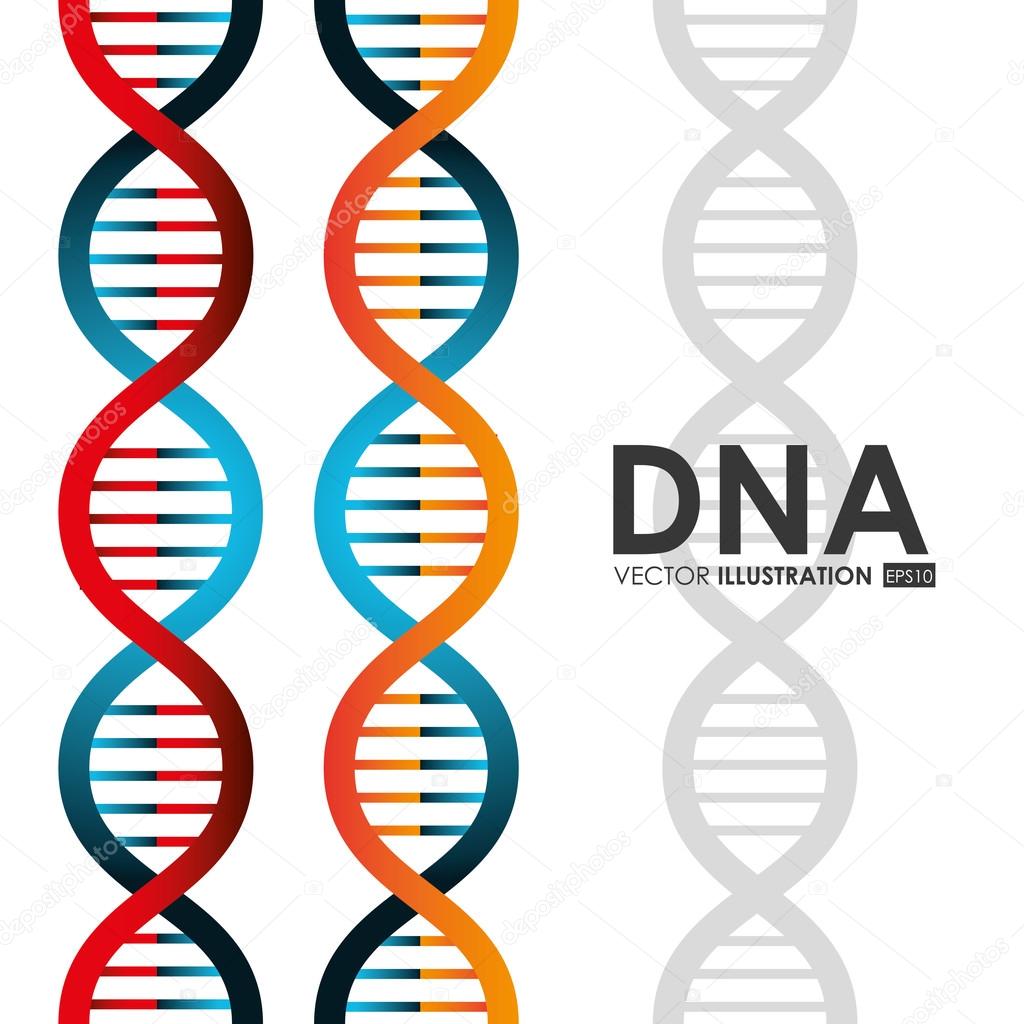 DNA design, vector illustration.