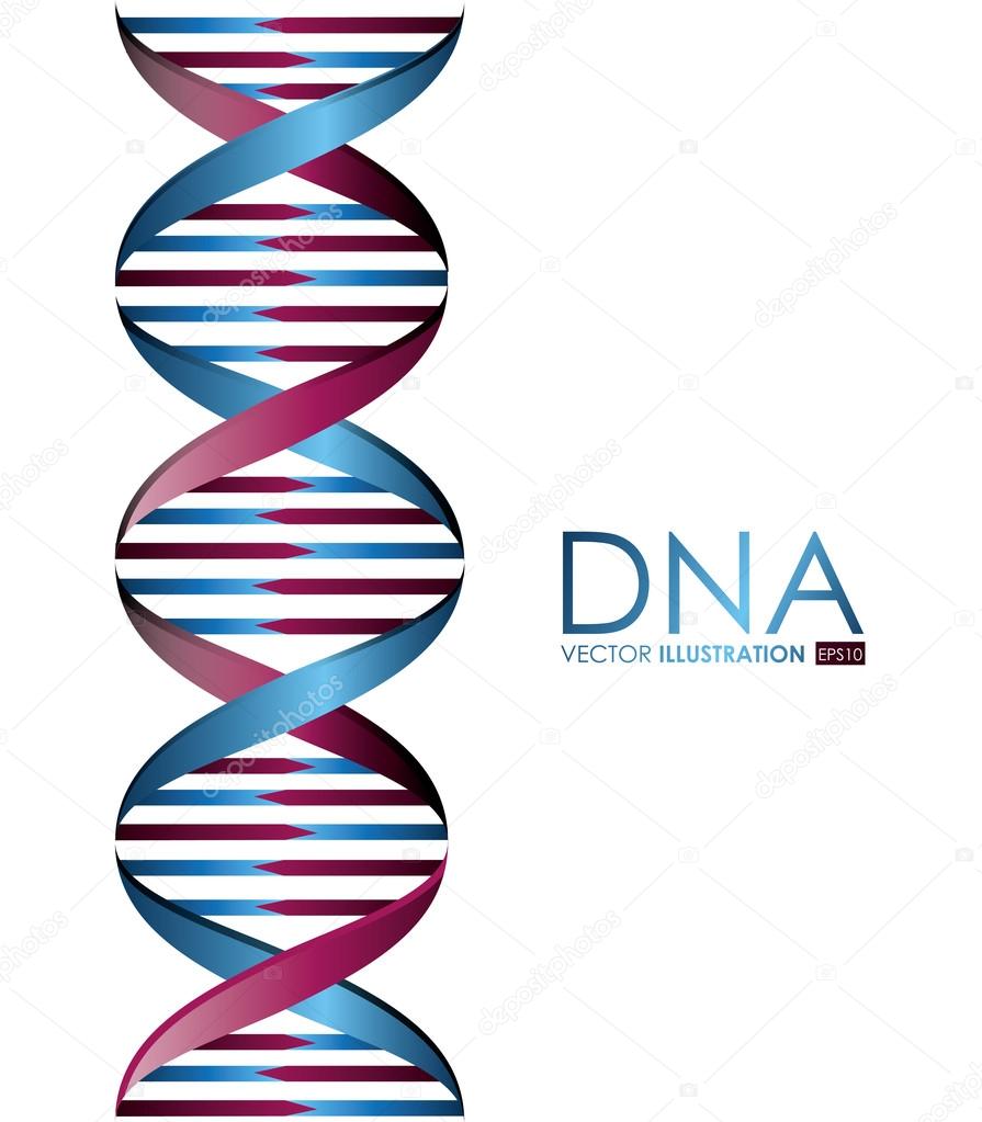 DNA design, vector illustration.