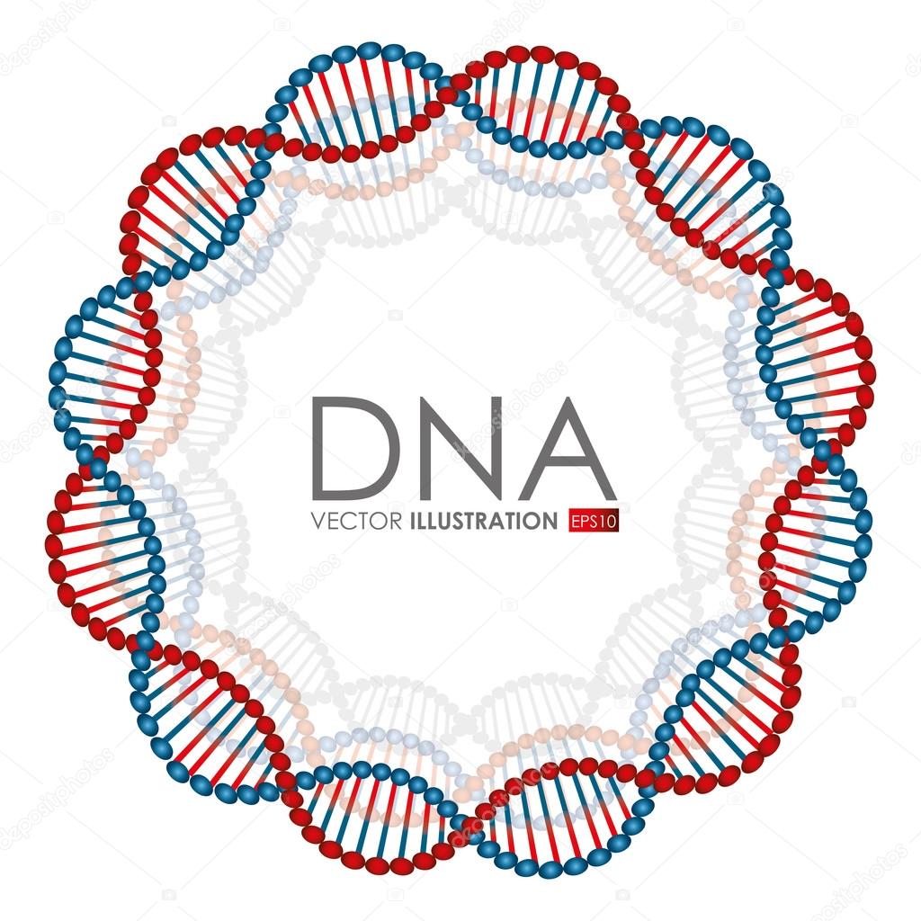 DNA design, vector illustration.