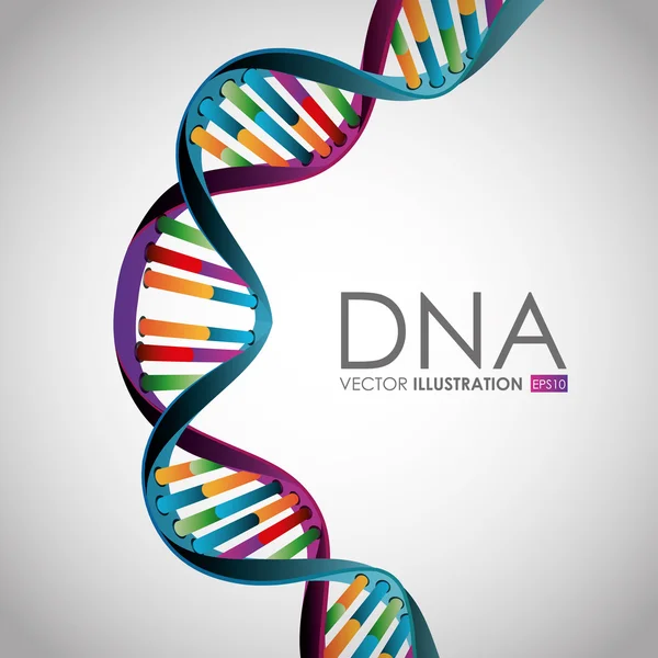 DNA design illustration. — Stock vektor
