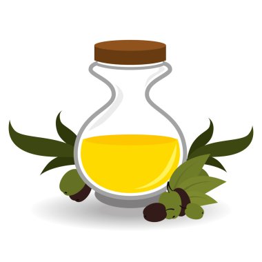 Zeytinyağı tasarım, vektör çizim.