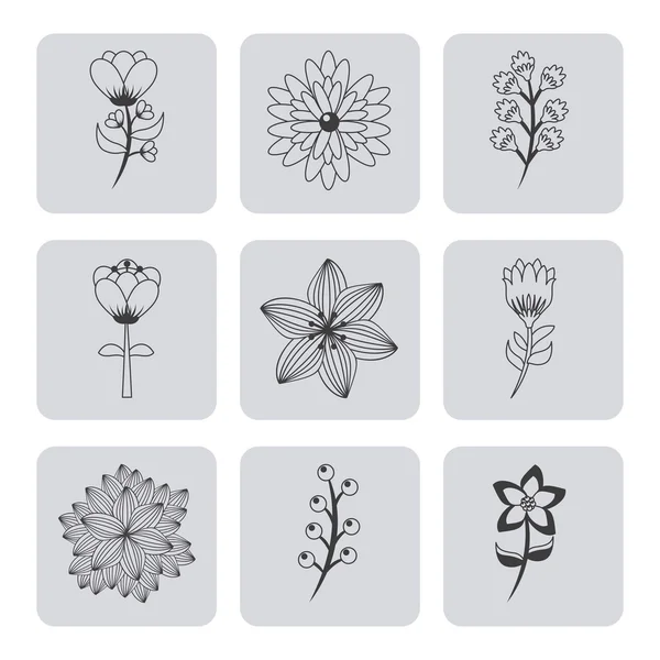 Квіти дизайну — стоковий вектор
