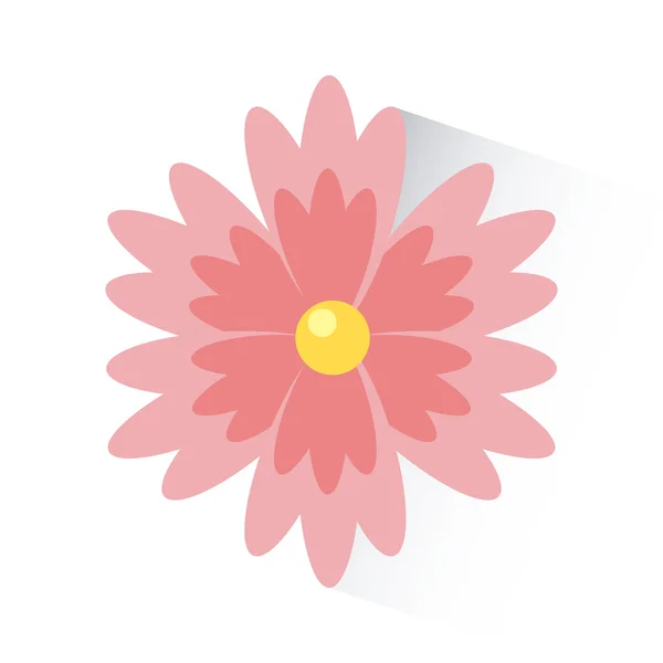 Květiny design — Stockový vektor