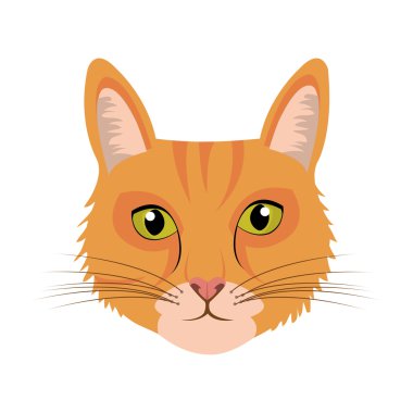 evde beslenen hayvan tasarımı.