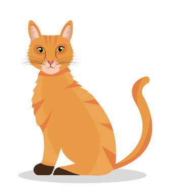 evde beslenen hayvan tasarımı.