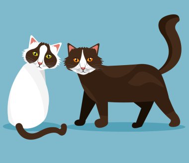 evde beslenen hayvan tasarımı.