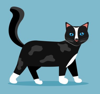 evde beslenen hayvan tasarımı.