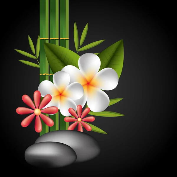 Massage rocks Vector Art Stock Images | Depositphotos