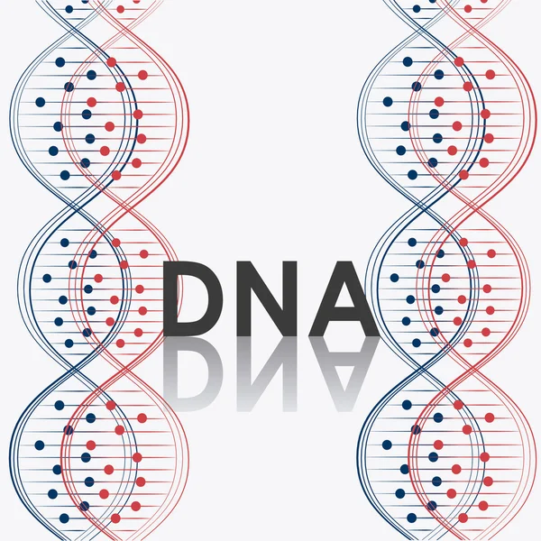 DNA-design illusztráció — Stock Vector
