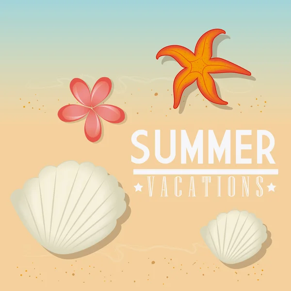 Summer design. — Stock Vector