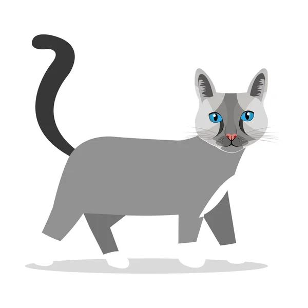 Katt design illustration — Stock vektor