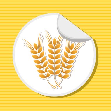 Gluten ürün 