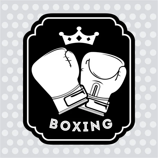 Boxing sport — Stock Vector