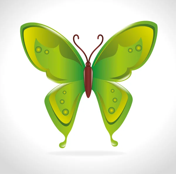 Butterfly ontwerp. — Stockvector