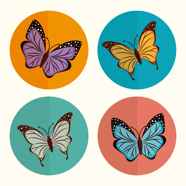 Diseño de mariposa . — Vector de stock