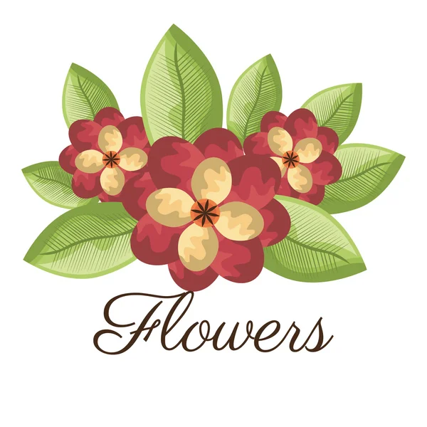 Diseño de flores . — Vector de stock