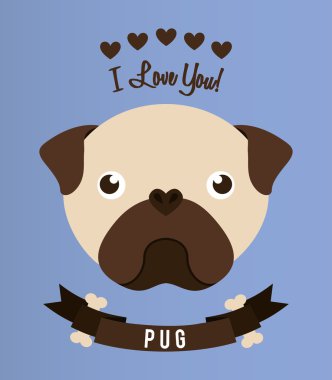 evde beslenen hayvan kavramı 