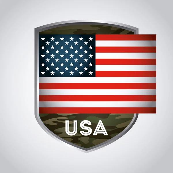 Emblema USA — Vettoriale Stock