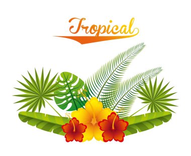 Tropikal doğa tasarım