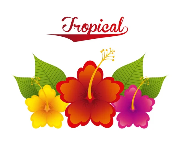 Design de natureza tropical — Vetor de Stock