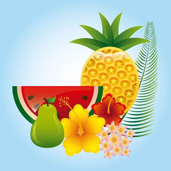 Diseño de frutas tropicales — Vector de stock