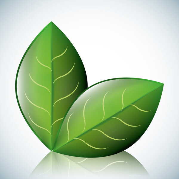 Экологический дизайн
.