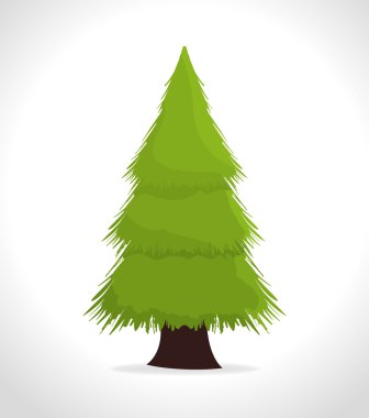 Ekoloji dijital tasarım.