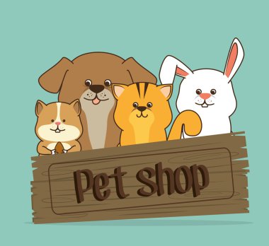 pet shop tasarım.
