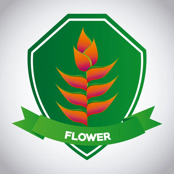 Tropical flower — Stock Vector