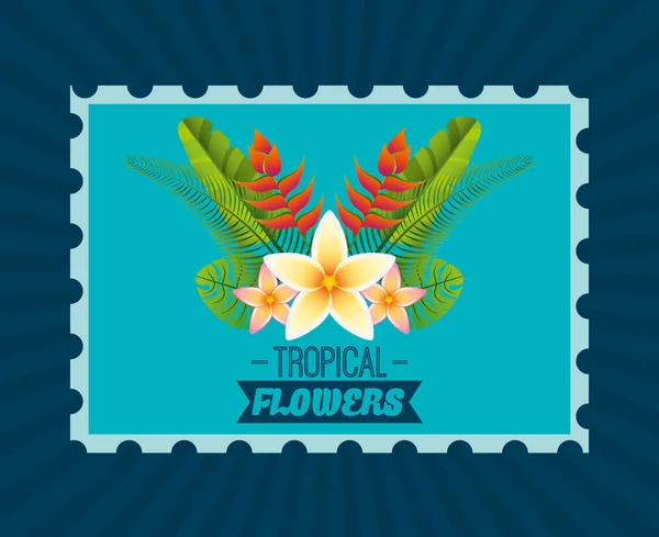 熱帯の花のデザイン — ストックベクタ