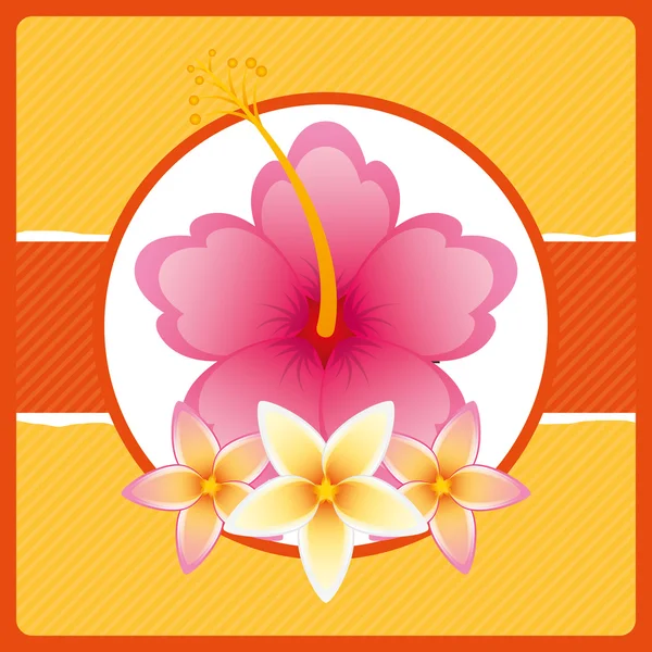 Tropikal çiçek tasarım — Stok Vektör