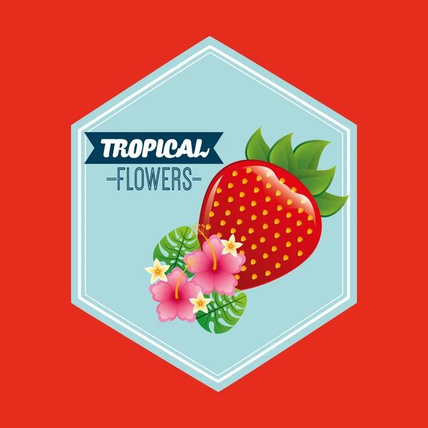 Diseño de frutas tropicales — Archivo Imágenes Vectoriales