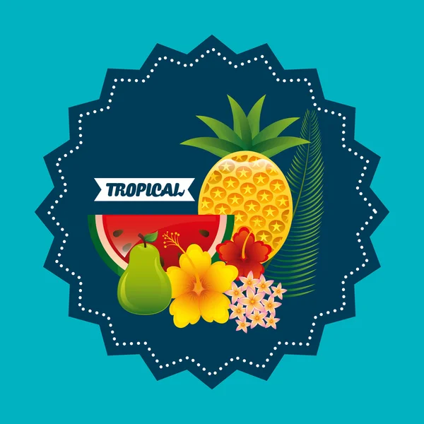 Design tropicale della frutta — Vettoriale Stock